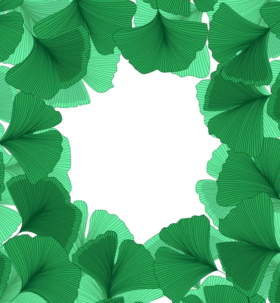 Ginkgo biloba hojas — Vector de stock