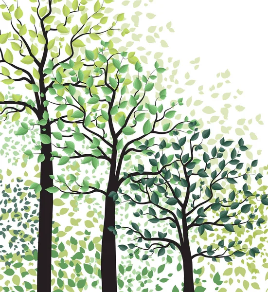 Zelené stromy s listy — Stockový vektor