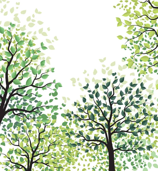 Grüne Bäume mit Blättern — Stockvektor
