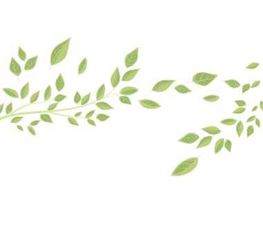 Dallar ve yeşil yapraklar