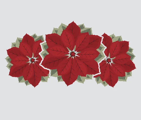 Kerstmis poinsettia flower — Stockvector