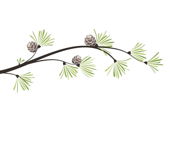 Vector takken pine — Stockvector