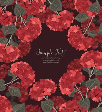 Vektör ortanca çiçek