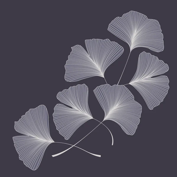 Ginkgo biloba hojas — Archivo Imágenes Vectoriales