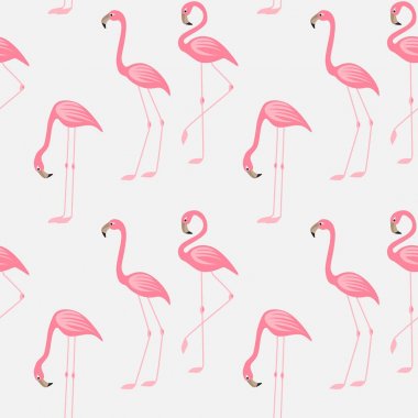 Pembe flamingo seamless modeli