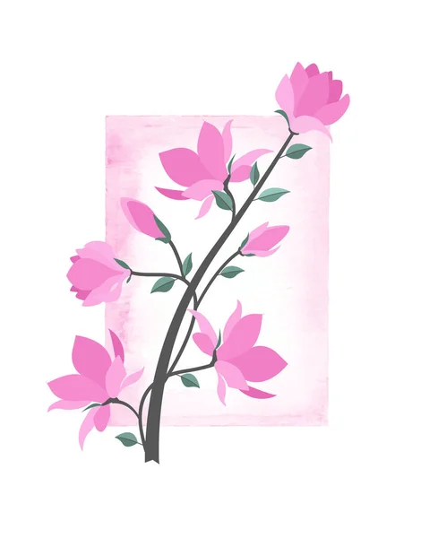 ベクトル マグノリアの花 — ストックベクタ