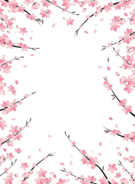 Sakura ág dekoráció — Stock Vector