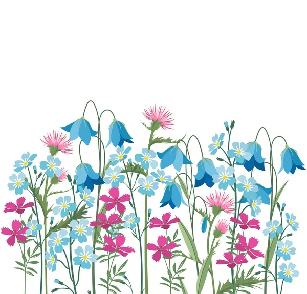 Zomer bloemen decoraties — Stockvector