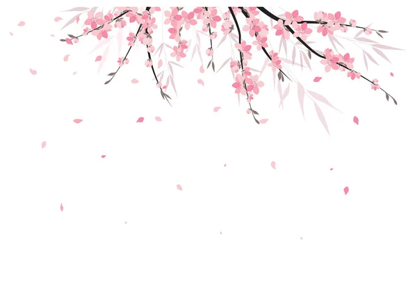 Sakura şube dekorasyon — Stok Vektör