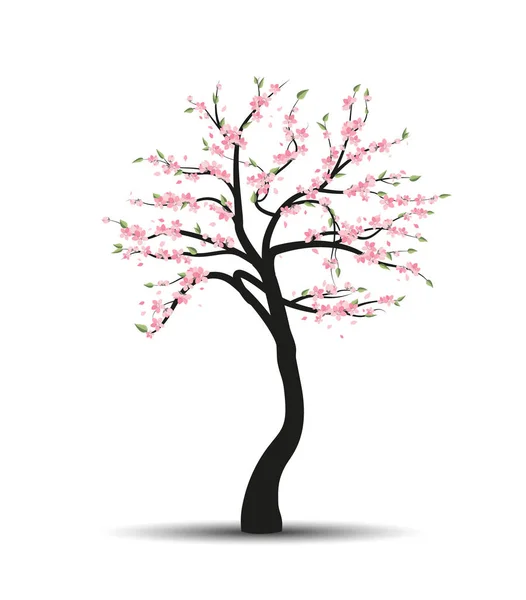 Vektor träd sakura — Stock vektor