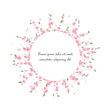 Sakura şube dekorasyon