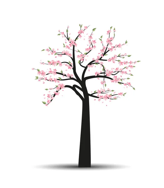 Vector tree sakura — Stock Vector