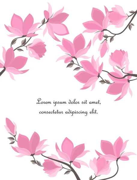 Vector magnolia flowers — Stock Vector