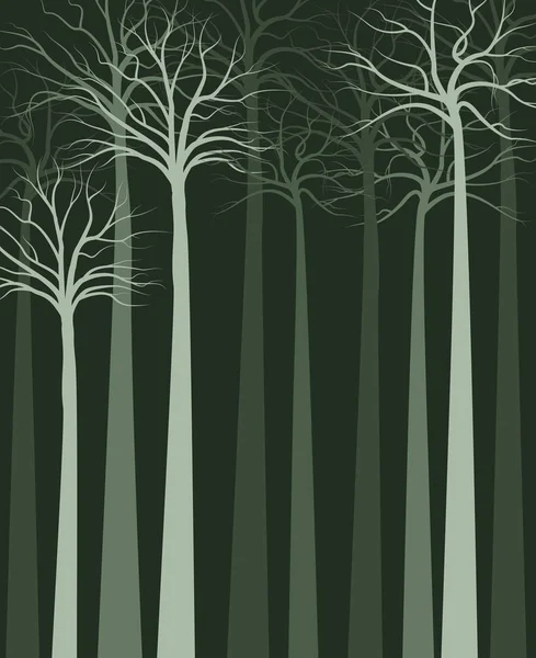 森林景观 — 图库矢量图片