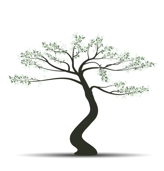 Bonsái árbol con hojas — Vector de stock