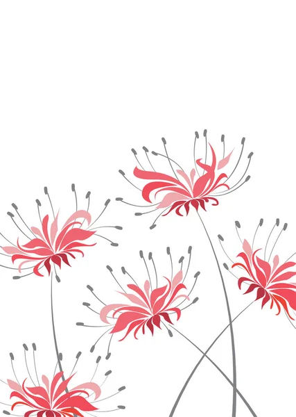 Ilustración Vectorial Decoración Floral Sobre Fondo Blanco Flor Roja Higanbana — Vector de stock