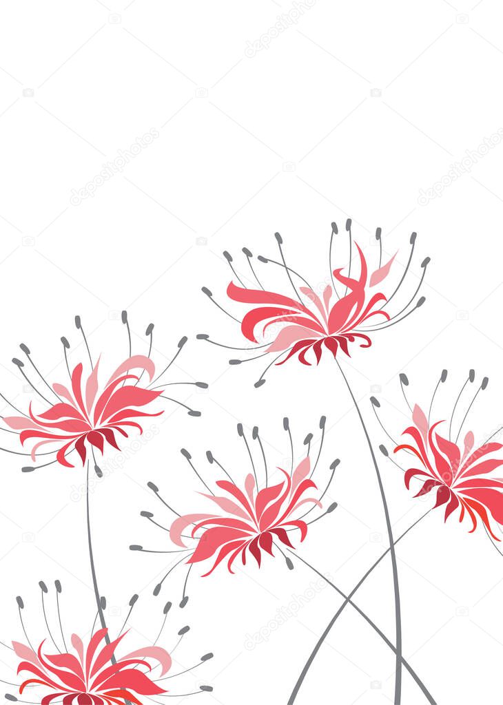 Vector illustration of floral decoration on a white background, red flower Higanbana