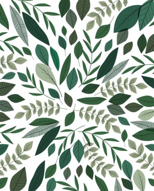 yeşil yaprakları ile doğal arka plan