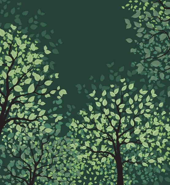 Zielone drzewa z liśćmi — Wektor stockowy