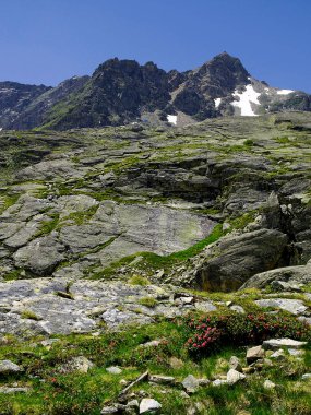 Avusturya'da bulunan bölümünde Alp dağ masifinin kısmına Carinthia deniyor.    