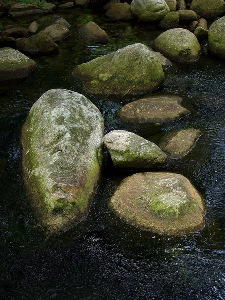 Close Beeld Van Stenen Rivier Rivier Witte Elbe Reuzengebergte Tsjechië — Stockfoto