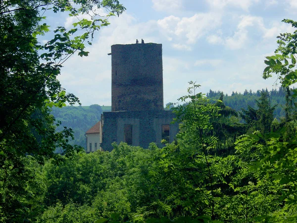 Zřícenina Gotického Hradu Zvaného Svojanov Východní Čechy Česká Republika — Stock fotografie