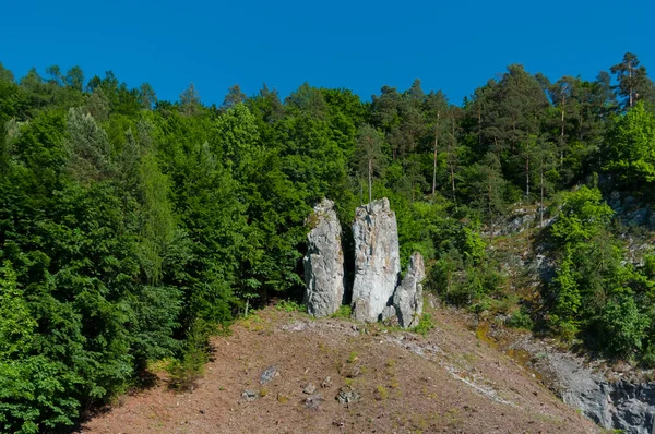 モラヴィア カルツにおける岩の形成は 母と子と呼ばれています 南モラヴィア チェコ共和国 — ストック写真