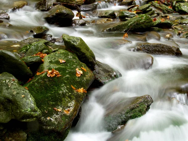 Una Corriente Agua Salta Sobre Las Rocas Moody Foto Otoño —  Fotos de Stock