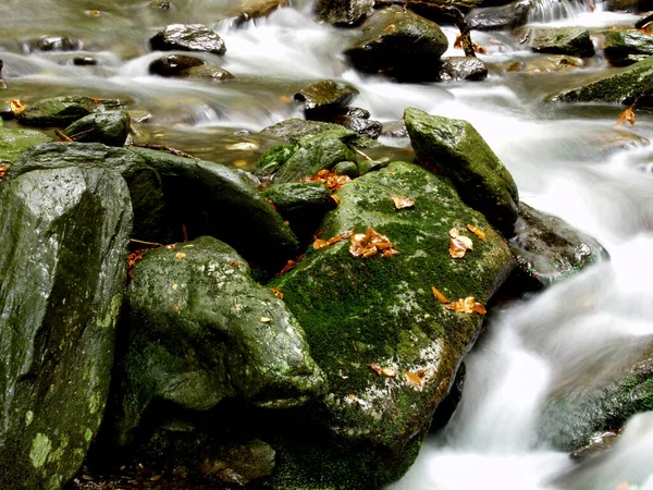 Ένα Ρυάκι Νερού Πηδάει Πάνω Από Βράχους Φωτογραφία Moody Φθινόπωρο — Φωτογραφία Αρχείου