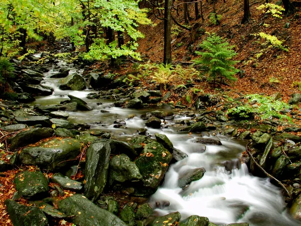 Een Rivier Van Water Springt Rotsen Moody Herfstfoto — Stockfoto