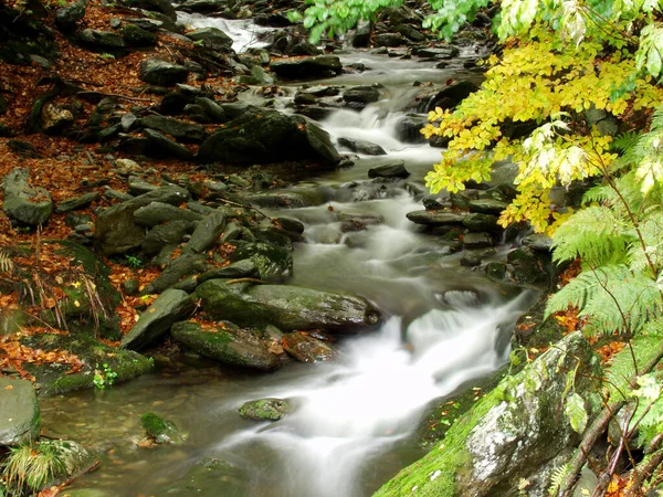Bir Nehir Dolusu Kayaların Üzerinden Atlıyor Huysuz Sonbahar Fotoğrafı — Stok fotoğraf
