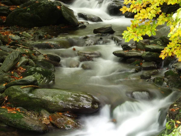 A river stream of water jumps over rocks. Moody autumn photo.