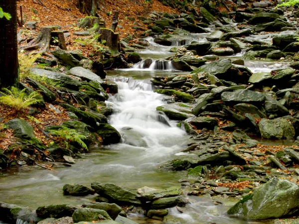 A river stream of water jumps over rocks. Moody autumn photo.