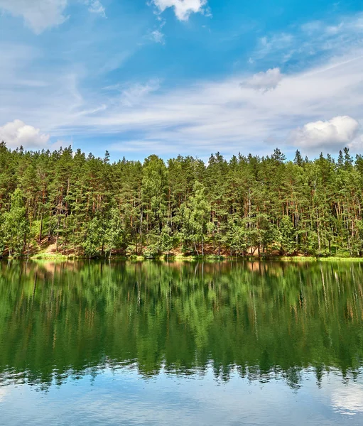 Lago silencioso cerca del bosque verde. —  Fotos de Stock
