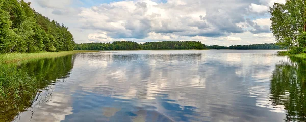 Silent lake near green forest. — Stock Photo, Image