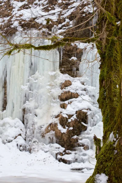 Mañana helada en las cascadas — Foto de Stock