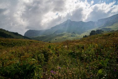  Dağlar ve deniz arasında ünlü 30 yolun