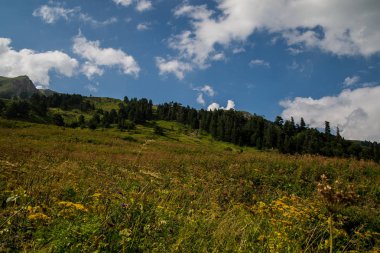  Dağlar ve deniz arasında ünlü 30 yolun