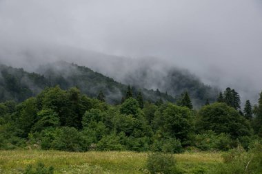  Dağlar ve deniz arasında ünlü 30 yolun
