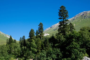  Dağlar ve deniz arasında ünlü 30 yolun