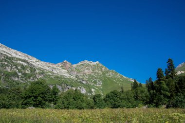  Dağlar ve deniz arasında ünlü 30 yolun