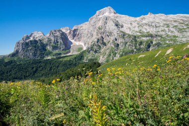  Dağlar ve deniz arasında ünlü 30 yolun