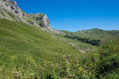  Dağlar ve deniz arasında ünlü 30 yolun