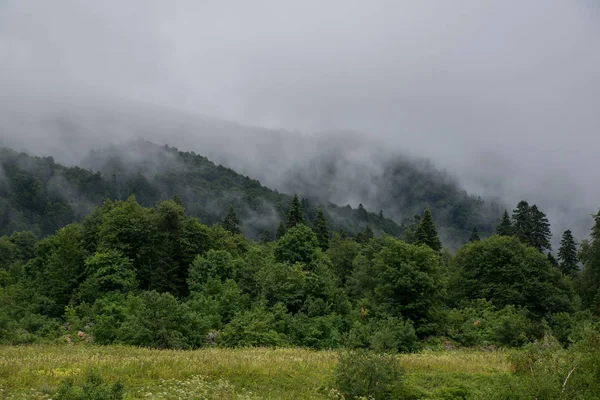  Dağlar ve deniz arasında ünlü 30 yolun