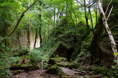 Güzel şelaleler Rufabgo. Adıge