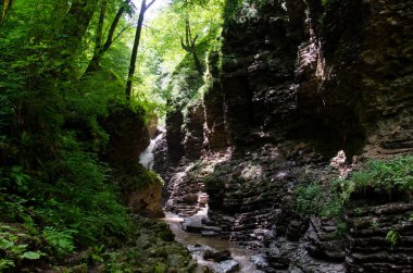 Güzel şelaleler Rufabgo. Adıge