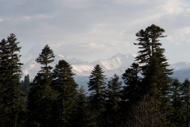 Dağ büyük Thach doğal park