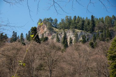 Dağ büyük Thach doğal park