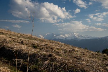 Dağ büyük Thach doğal park