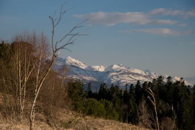 Dağ büyük Thach doğal park